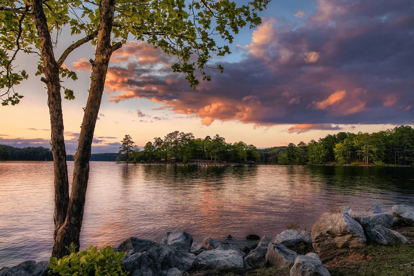 Sunset over a tranquil lake with pink and orange clouds reflecting on the water. A tree and rocks frame the serene scene, conveying peace.