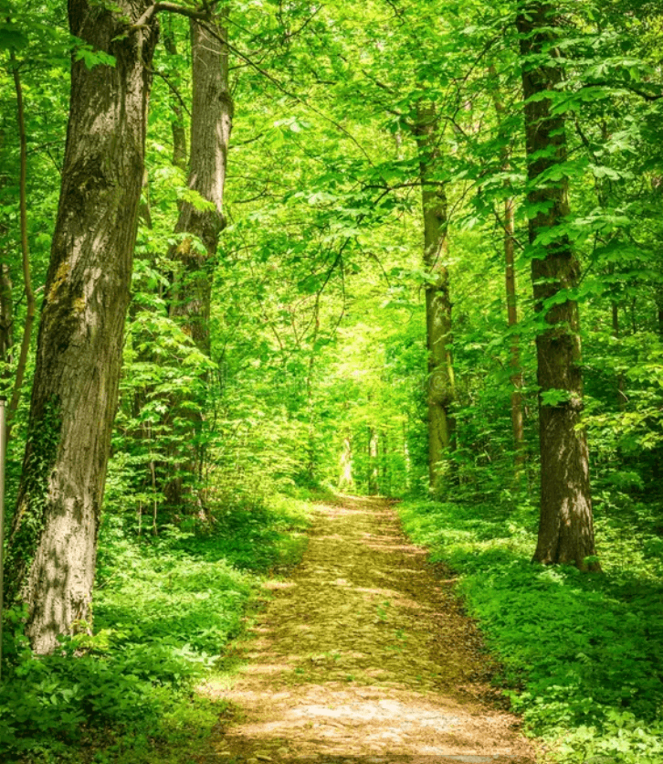 Nature, peaceful, relaxing Nature, peaceful, relaxing