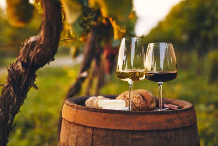 A glass of red wine and a glass of white wine with some bread atop a wine barrel in a vineyard