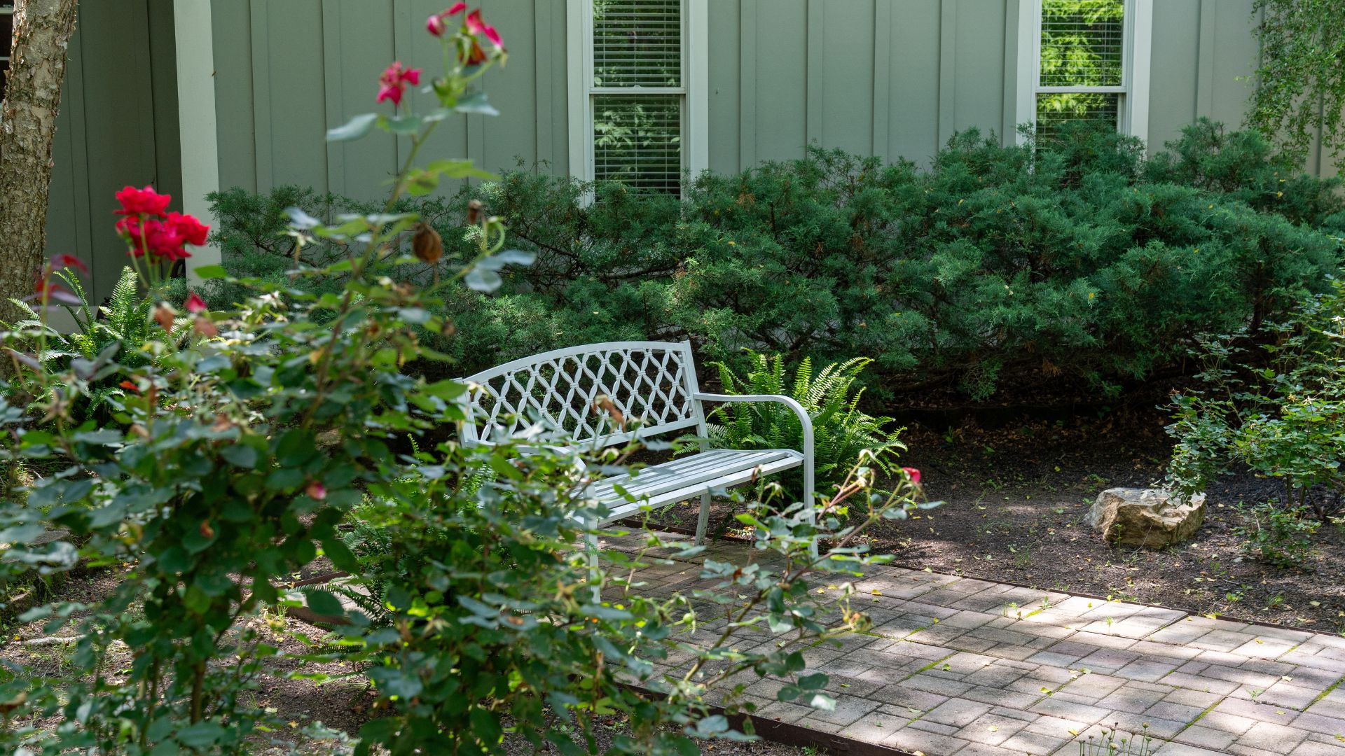 A single white bench nestled in bushes and flowers by a green house