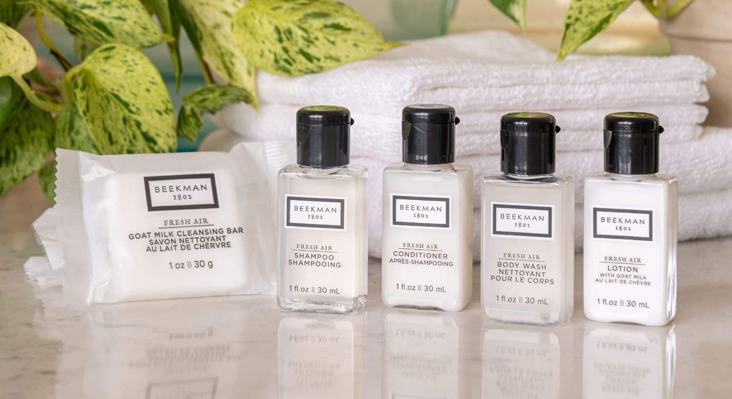 Small travel toiletry bottles and bar of soap