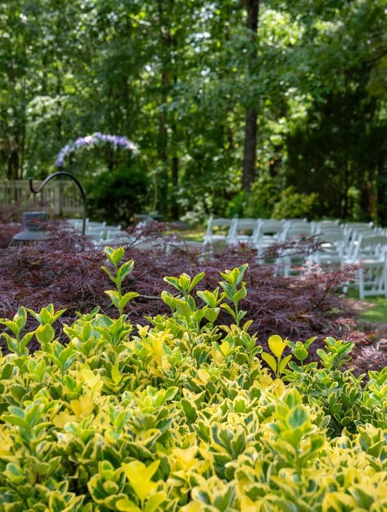 Garden area lush with trees and bushes and white chairs set up for a wedding