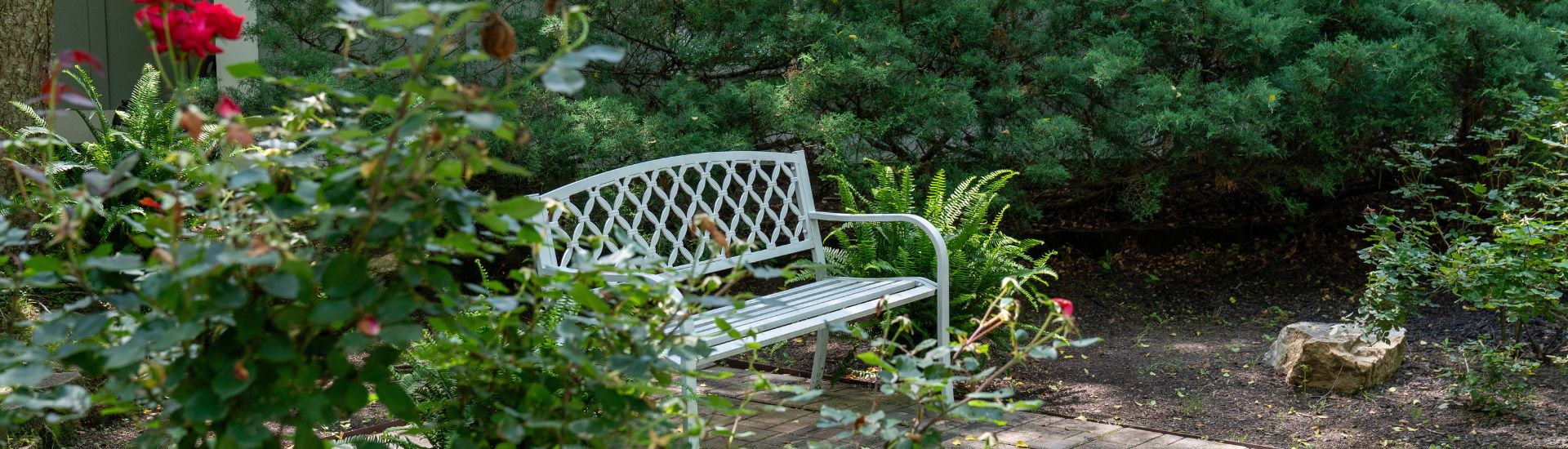 Single white bench nestled in green bushes