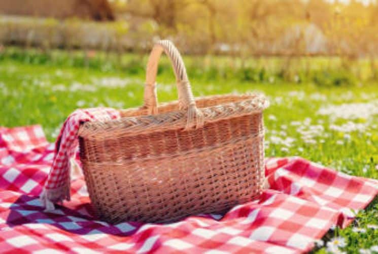 Brown wicker picnic basket on a white and red plaid blanket outdoors on grass